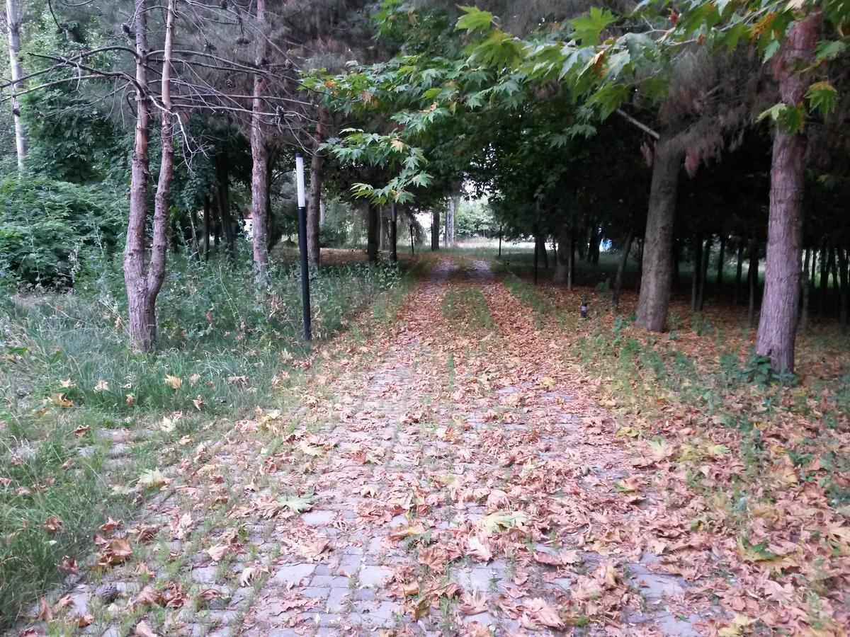 Sheki Olimpiya Hotel & Resort Exteriör bild
