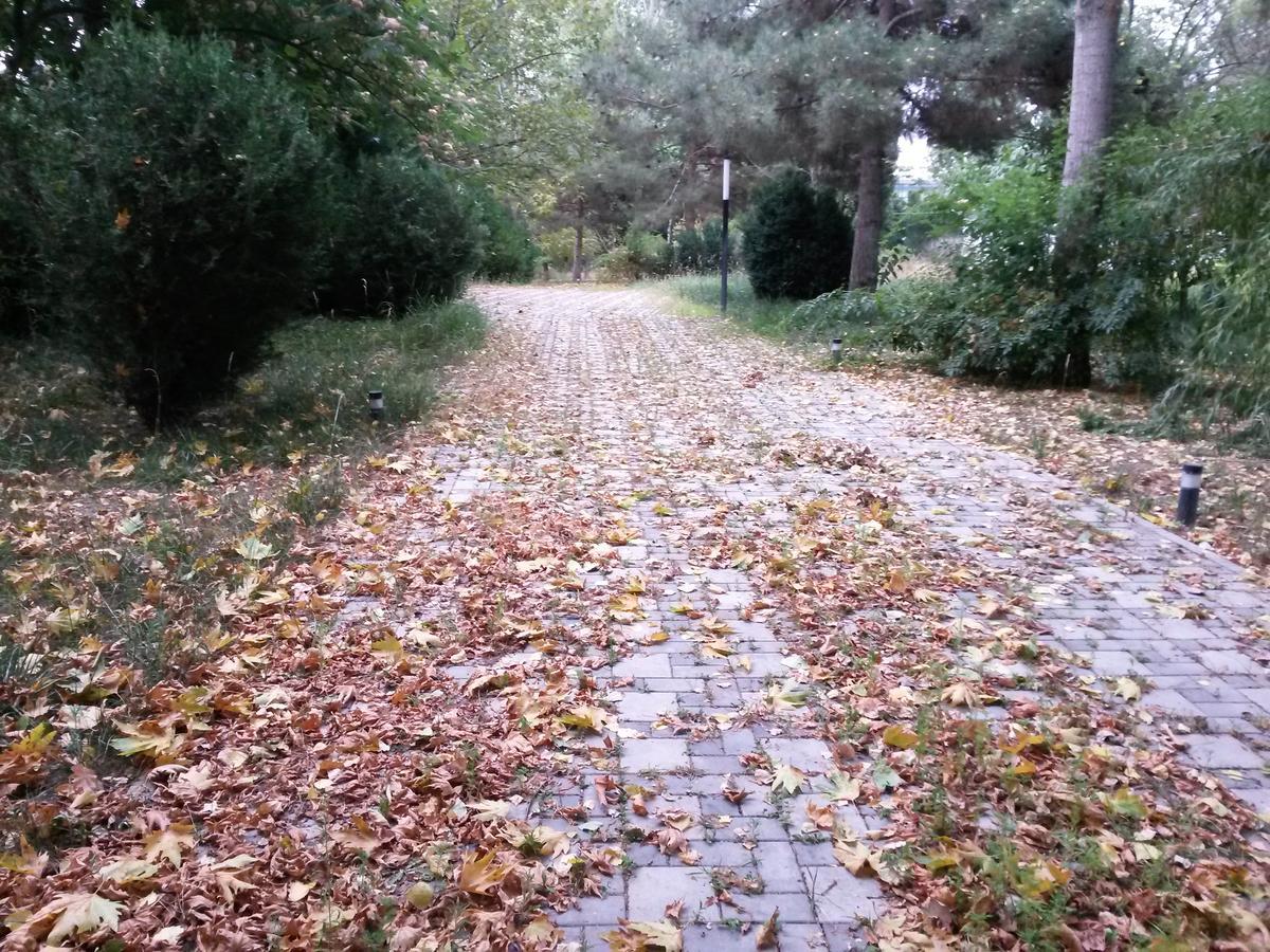 Sheki Olimpiya Hotel & Resort Exteriör bild