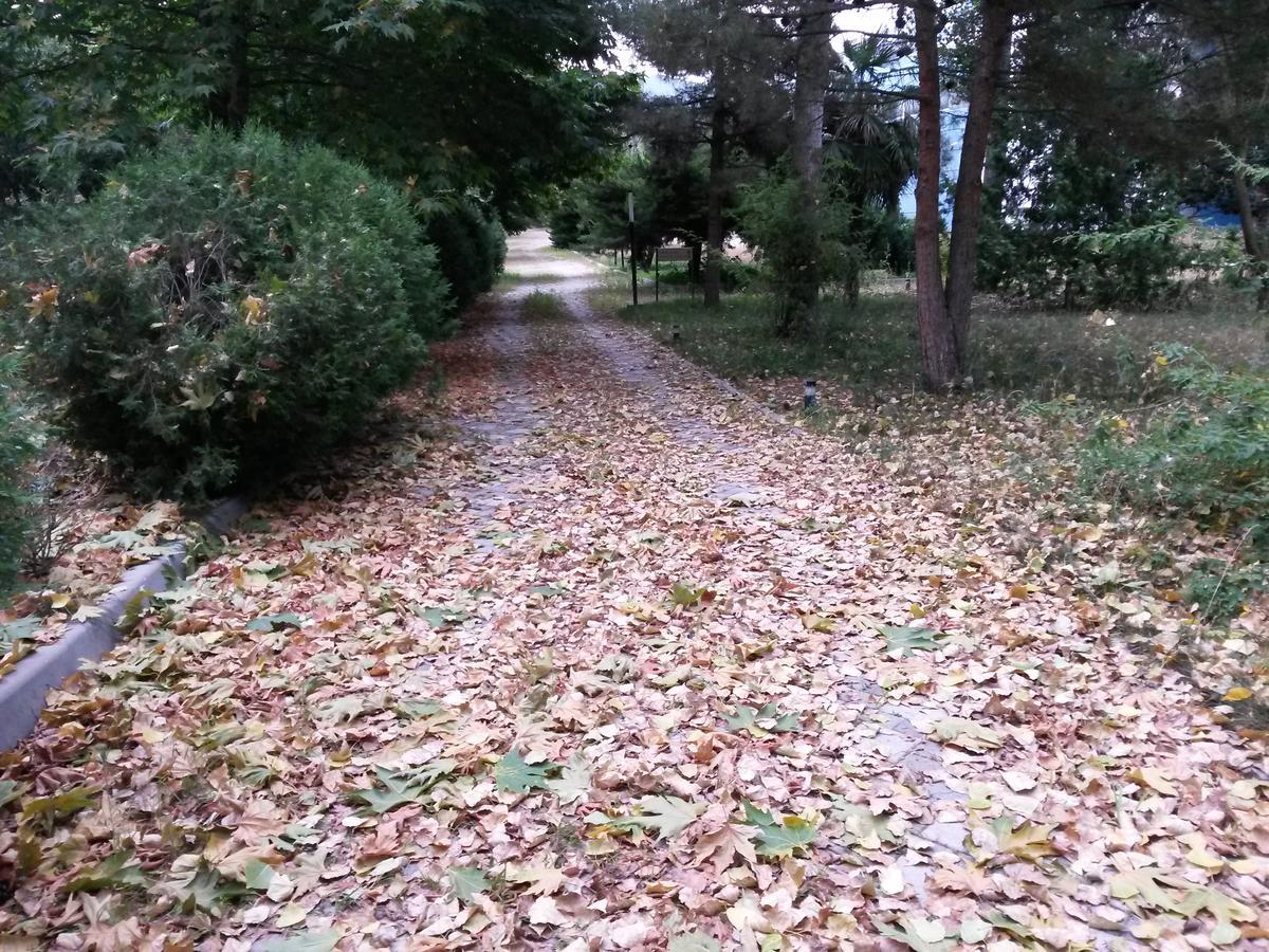Sheki Olimpiya Hotel & Resort Exteriör bild