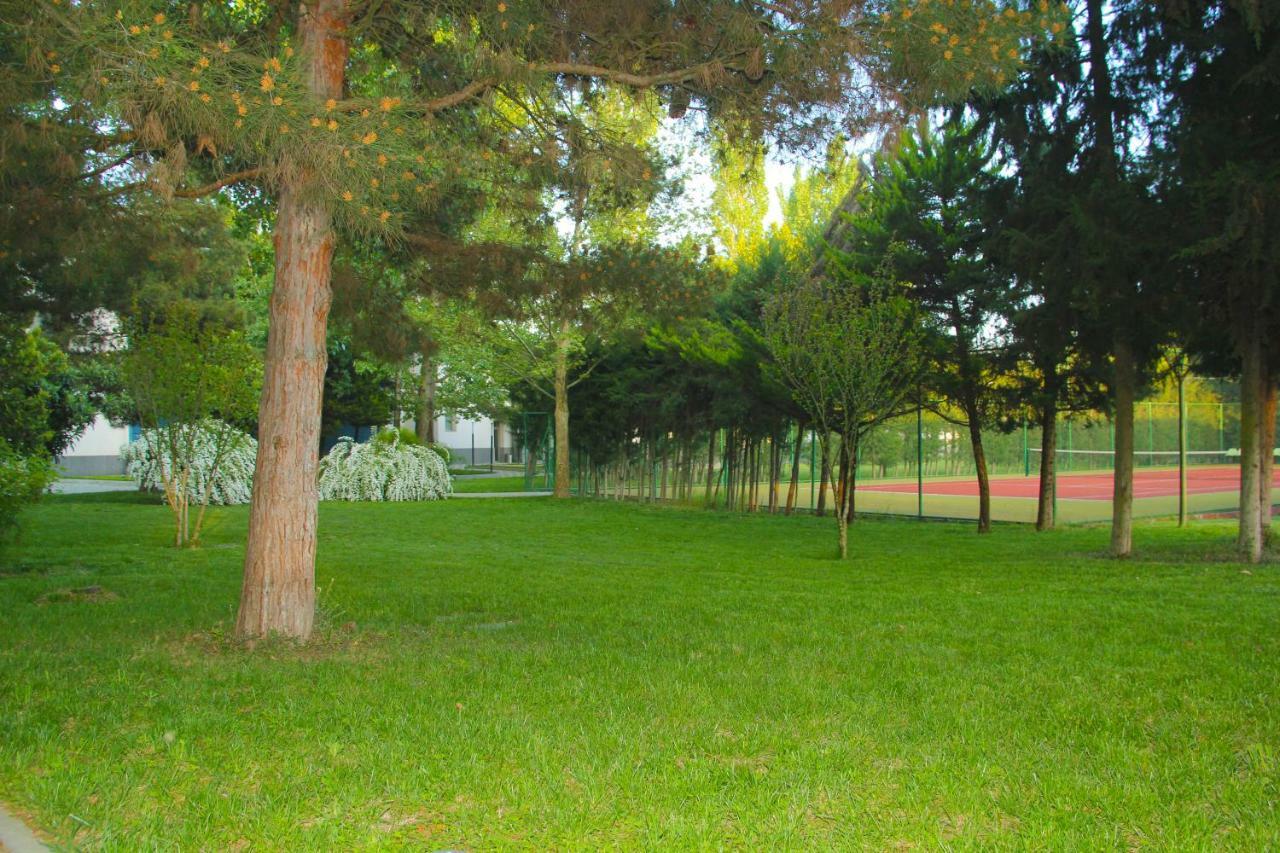 Sheki Olimpiya Hotel & Resort Exteriör bild