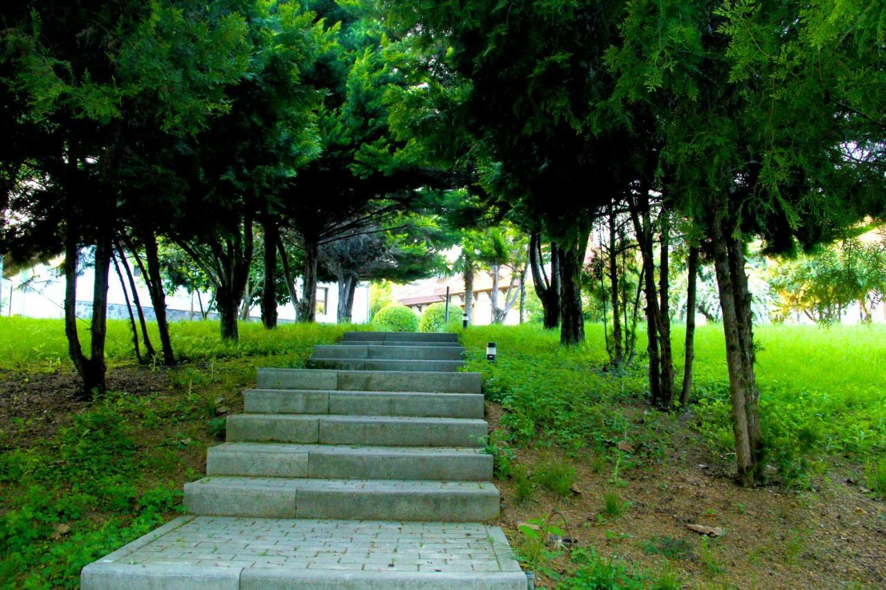 Sheki Olimpiya Hotel & Resort Exteriör bild